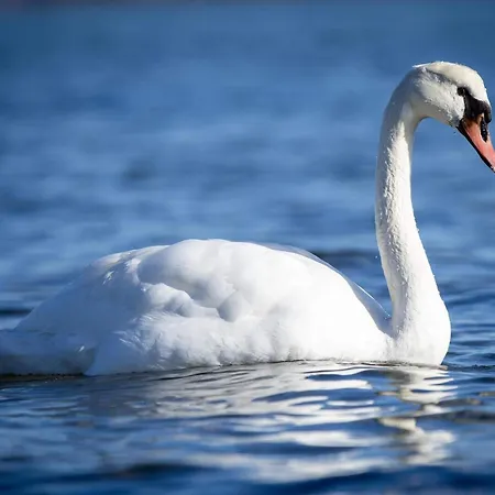 Сasa de vacaciones 8 Person In Sjolund-by Traum Binderup Strand